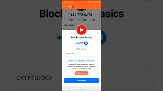 Blockchain basic cats video codes| cats video codes| #catscode