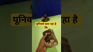 यूनिवर्स बता रहा है कि।Crush Feelings।Timeless #UniverseMessages#cardreading #shorts