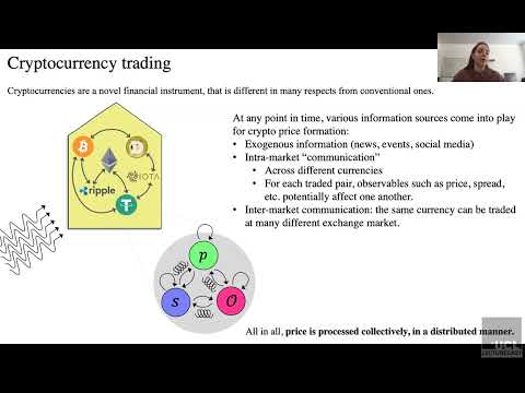 Vaiva Vasiliauskaite - Information dynamics of price and liquidity around the Bitcoin markets crash