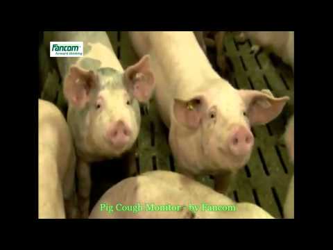 Pig Cough Monitor - by Fancom