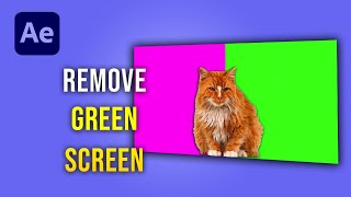Remove Green Screen in After Effects – Beginner Tutorial