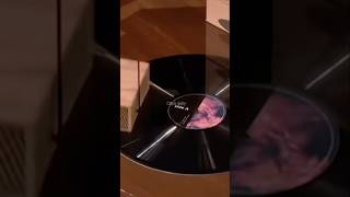 Sharks are amazed by this portable record player ￼