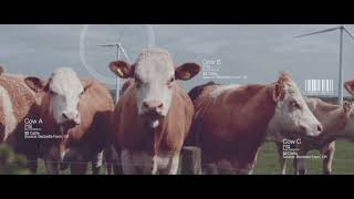 CIM: Big Data Research Excellence Framework (60 sec)