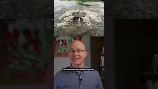 Name That Infrastructure (Ep. 13) #shorts