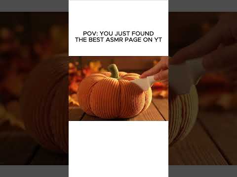 POV: A pumpkin spice moment — but it's plush 🎃✂️