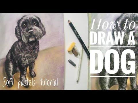 How to draw a dog in soft pastels - #easypastel #dogtutorial #artforkids