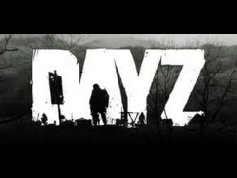DayZ Fisticuffs