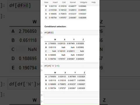 Pandas Conditional Selection & Indexing in a Python Dataframe | Feb 2025