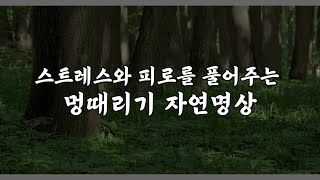 스트레스와 피로를 풀어주는 멍때리기 자연명상 | 10분 멍때리기, 뇌휴식, 뇌충전, 집중력