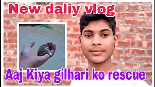 Aaj Kiya gilhari ko rescue/new daliy routine vlog #dailyvlog #hardoivlogger #vlog #newvlog 