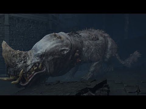 Elden Ring - Golden Hippopotamus No Hit