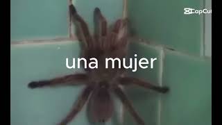 informaticos
