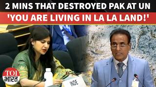 'Kashmir's Budget Is Double Of Your IMF Bailout': Indian Envoy's Brutal Dig At Pakistan At UNHRC