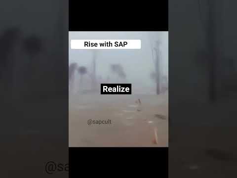 Rise with SAP #comedy #saperp #abap #funny #memes #reels #sap #sapmemes #sapvideos