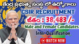 CENTRAL GOVT JOBS IN HYD || IICT RECRUITMENT || కేంద్ర ప్రభుత్వ సంస్థ లో ఉద్యోగాలు