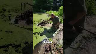 This farmer REMOVES the whole beaver dam !🦦😮 @seavers_beavers