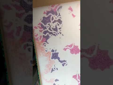 14 Exploring Creativity Episode 14:  Negative Space
