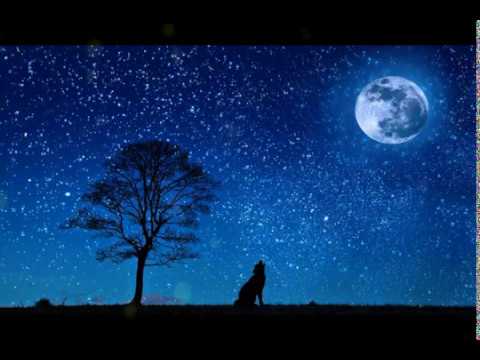 Relaxing Sleep Music, Deep Sleeping Music, Relaxing Music, Stress Relief
