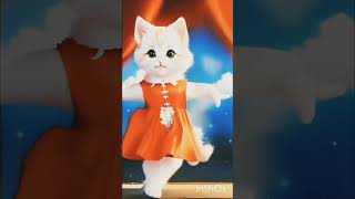 #cutecat#didiyakedewar#catdance#trending#shorts#shortvideo #youtube