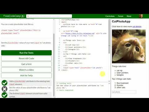 [18] Add Placeholder Text to a Text Field