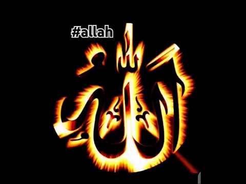 sab comment Allah ❤️✨✨ #halal #edit #unfrezzmyaccount #duet #beautiful
