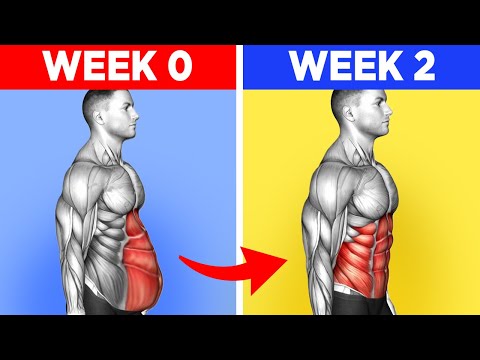 Lose Belly Fat inTwo Weeks
