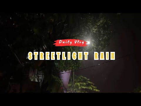 Listening to Rain Beneath the Trees | Peaceful Night Ambience with Streetlight Glow