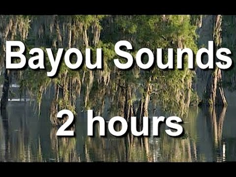 Bayou Nature Sounds for Sleep and Relaxing