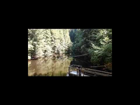 Fern Lake, Arcata CA