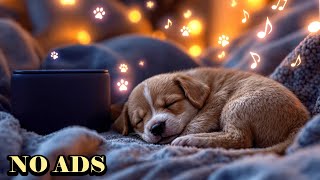 NO ADS 24 HOURS Music to Calm Dogs When Owner is Away