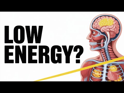 If You Feel Tired All the Time, Watch This | The Biology of Energy & Fatigue.