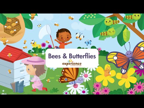 Bees & Butterflies Toddler & Preschool Sneak Peek