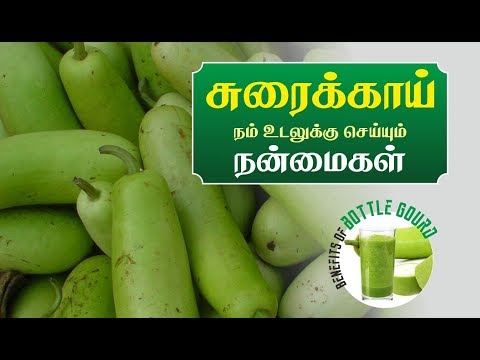 Bottle Gourd Benefits _ Health Tips in Tamil ( சுரைக்காயின் நன்மைகள் )