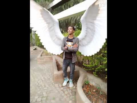#funny #graphicdesigner #greenscreen best fly #motivation