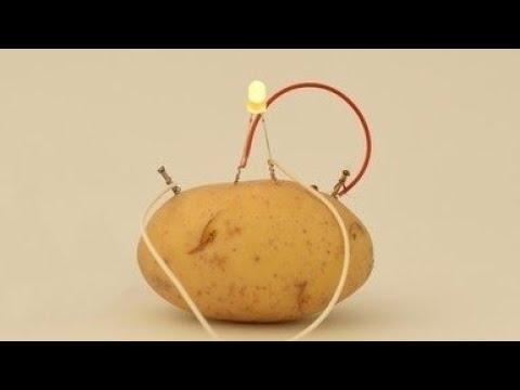 Using potato energy to light a bulb |CraftyPie|