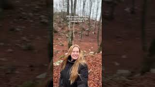 Italy is so dog friendly! This far, Italy has been the most dog-friendly place we’ve traveled