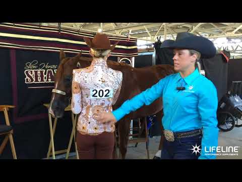 Team LIFELINE Training Tip   Showmanship Presentation