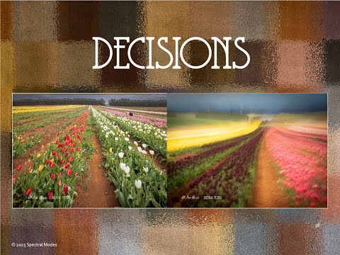 03   Proactive Shooting - Shoot Decisions