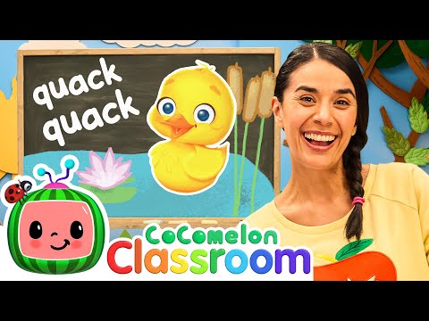 Count Animals and Sing 5 Little Ducks | Toddler Learning with Ms. Appleberry | CoComelon Classroom