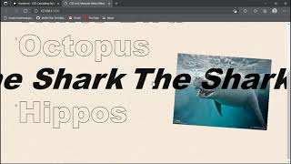 Image reveal on Hover in html and CSS.