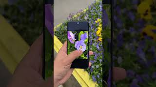 Xiaomi 15S Pro Camera Quality Test