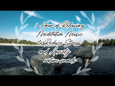 1 Hour of Relaxing Meditation Music to Reduce Stress and Anxiety🧘‍♂️🎶 nature sounds #relaxingmusic