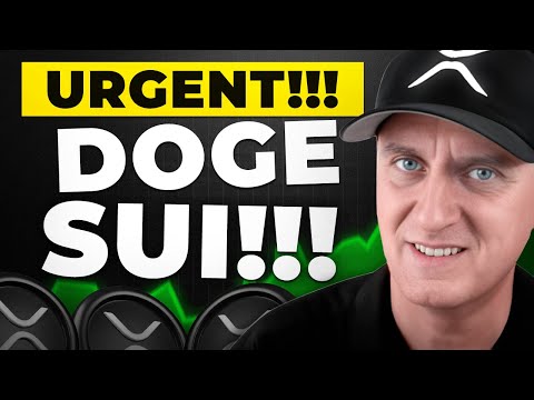 WARNING DOGE SUI HOLDERS 🚨 IT HAS STARTED!