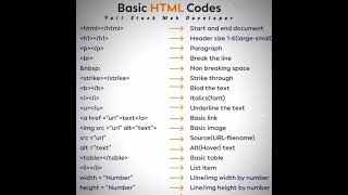 Top HTML Expert Reveals Best HTML Techniques for Beginners