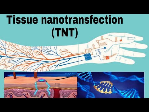 Tissue Nano Transfection || Nanochip reprogrammed body cells.||