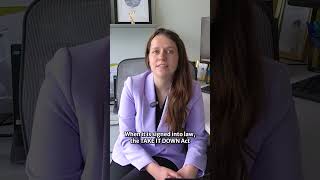 Update on the TAKE IT DOWN Act #legalnews #onlinesafety #internetlaw #askalawyer