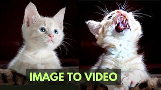 AI MAGIC: Breathe Life into Your Images | DZine AI Image to Video