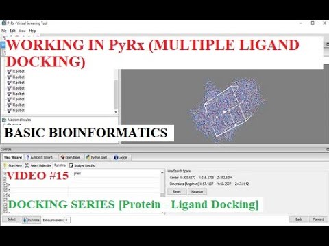 Working in PyRx [Multiple Ligand Docking] #PyRx #BasicBioinformatics #Docking #Bioinformatics