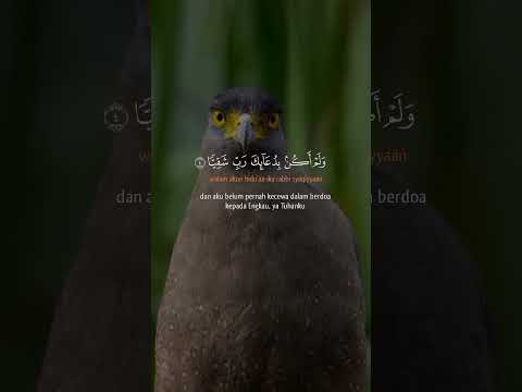 بلغوا عني ولو آية