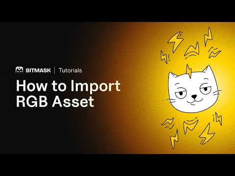 How To Import RGB20 Asset